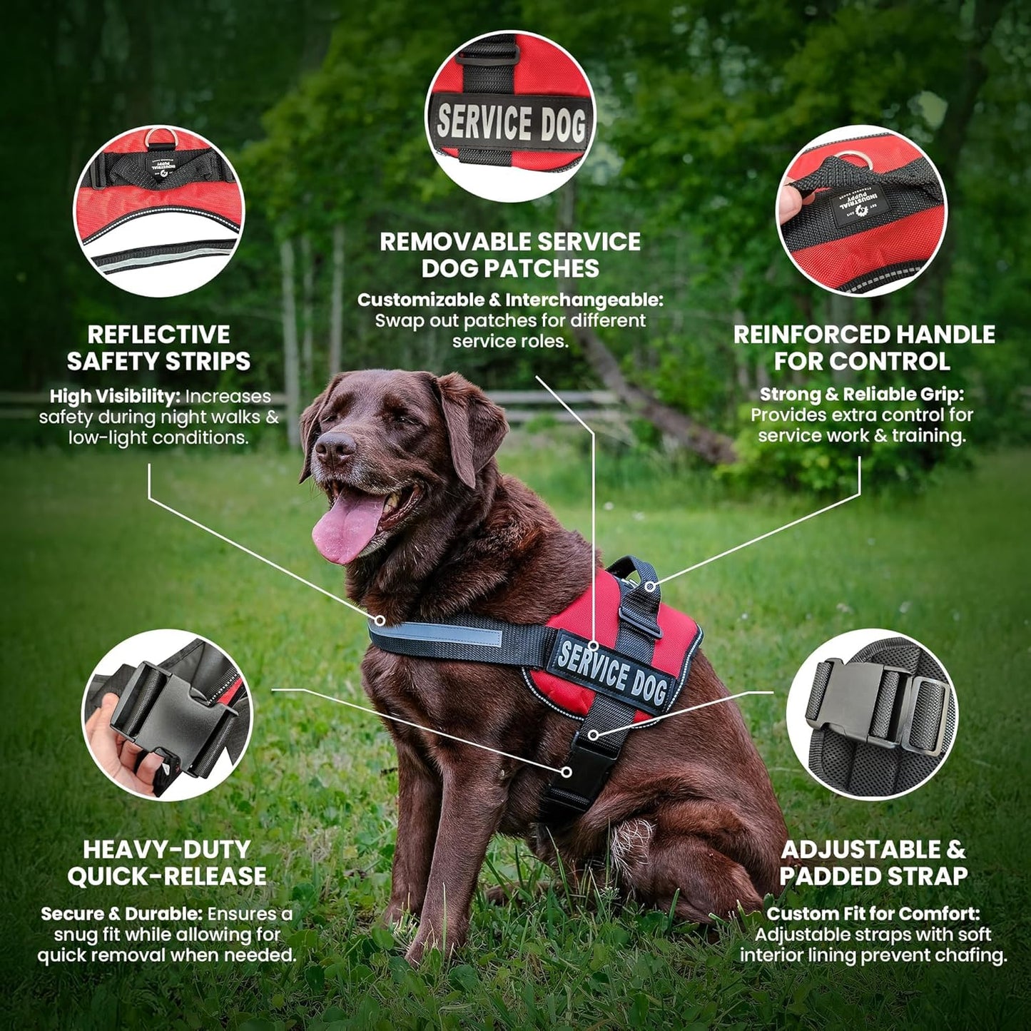 Service Dog Vest Harness - Durable & Adjustable Vest for Dog with Reflective Straps, Removable Patches, 50 ADA Cards, Handle & D-Ring, Travel and Daily Use, (Bright Red, XL 30"-39")