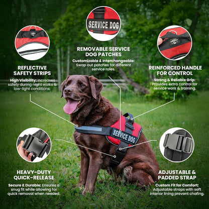 Service Dog Vest Harness - Durable & Adjustable Vest for Dog with Reflective Straps, Removable Patches, 50 ADA Cards, Handle & D-Ring, Travel and Daily Use, (Bright Red, XL 30"-39")